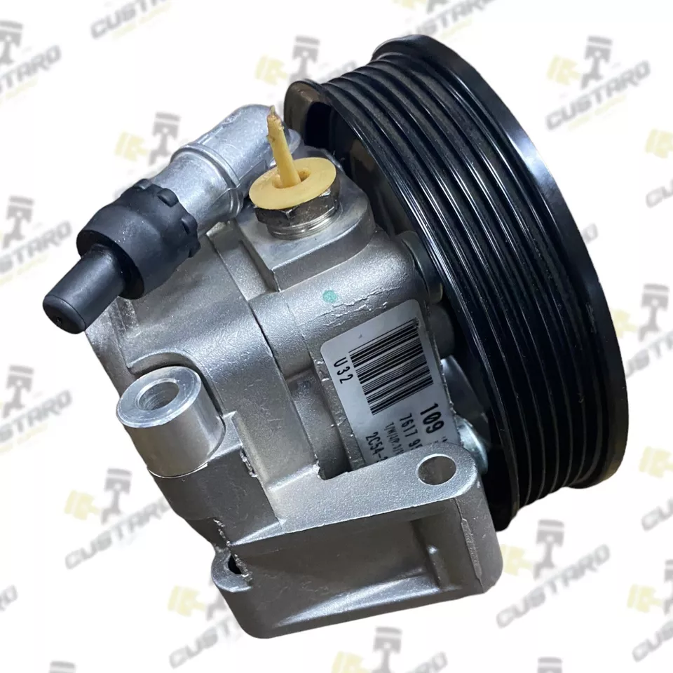 Lincoln LS 3.9L V8 Power Steering Pump with Pulley OEM 2003 - 2006 2W93-3D673-CA