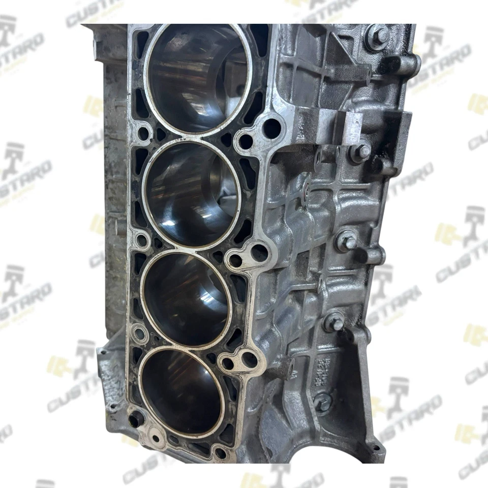 Ford 4.6L Cobra Mustang Mach 1 WAP Windsor Rebuildable Bare Block | 1L2E-6015-BB